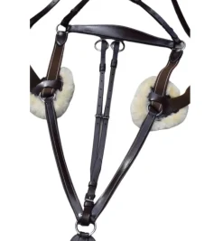Black Oak 5-Point Breastplate
