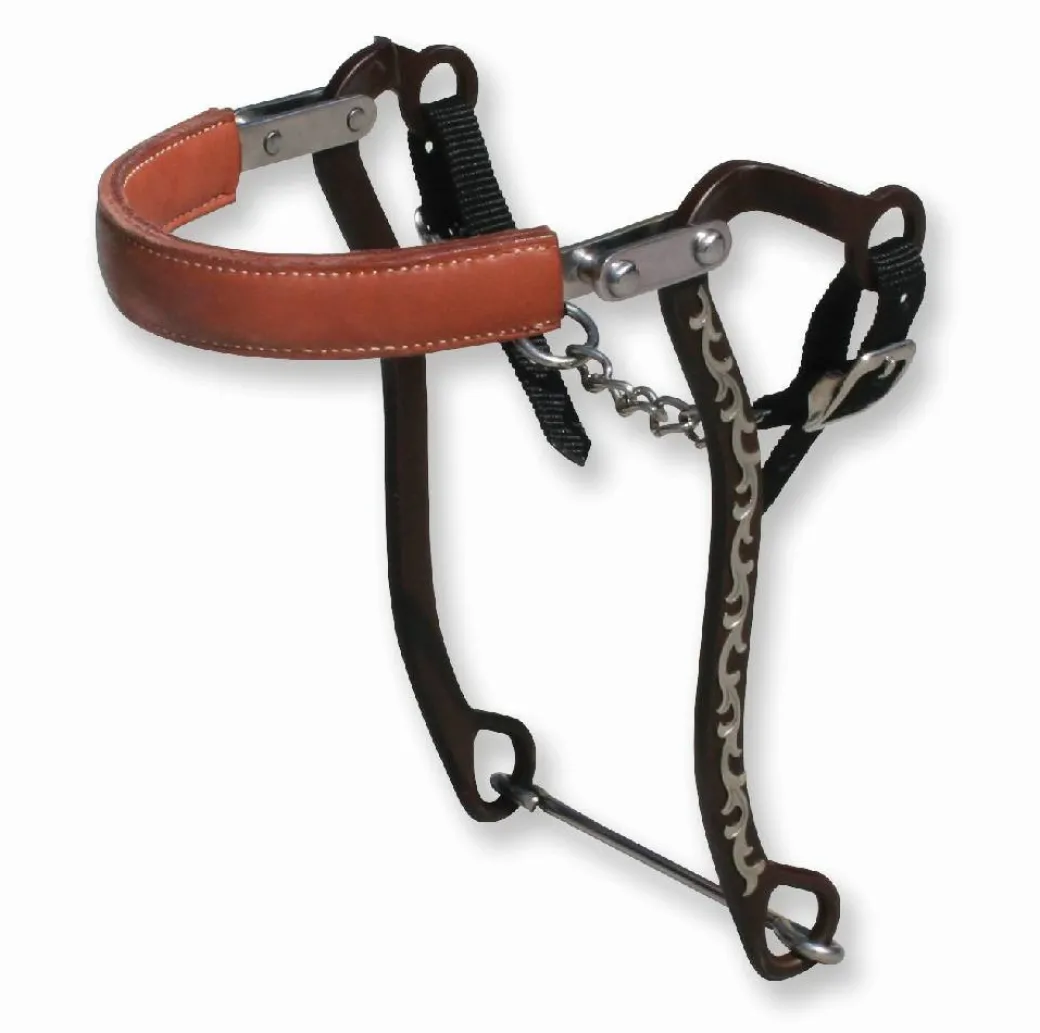 Bob Avila Mechanical Hackamore Floral