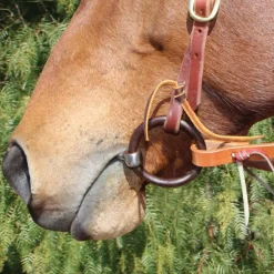 Bob Avila Twisted Training Snaffle Bit