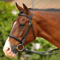 Bobby's English Tack Padded Snaffle Bridle