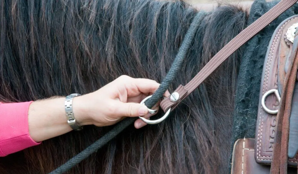 BOOMA Rein Safety Rein