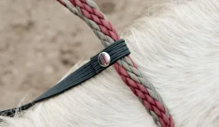 BOOMA Rein Safety Rein