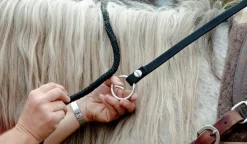 BOOMA Rein Safety Rein