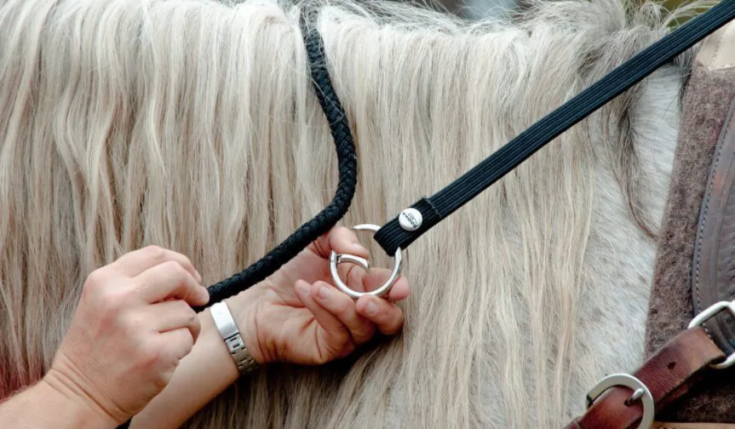 BOOMA Rein Safety Rein
