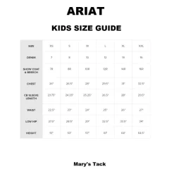 Boys Ariat Blissful Blue TEK Polo