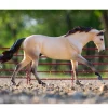Breyer 75th Anniversary Essay Winner Cash QH