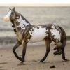 Breyer 75th Anniversary Stock Horse