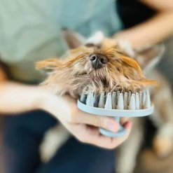 BrushBuster Dog Brush