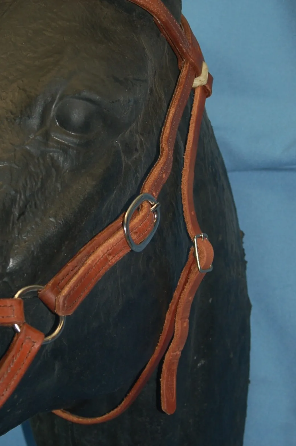 Buckaroo Leather Flat Nose Sidepull