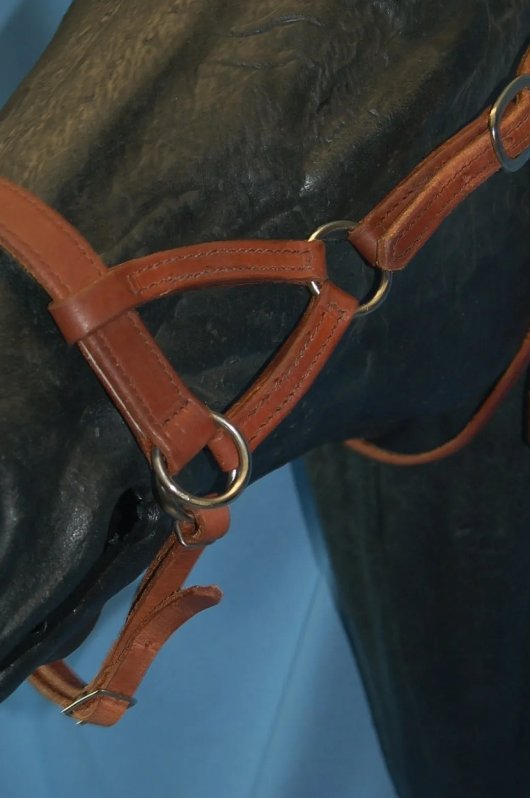 Buckaroo Leather Flat Nose Sidepull