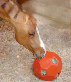 Burlingham Sports Hay Ball Feeder