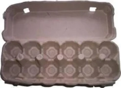 Cardboard Egg Carton