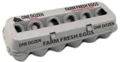 Cardboard Egg Carton