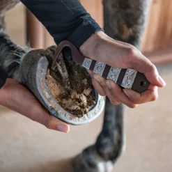 Cashel Silver Stripe Hoof Pick