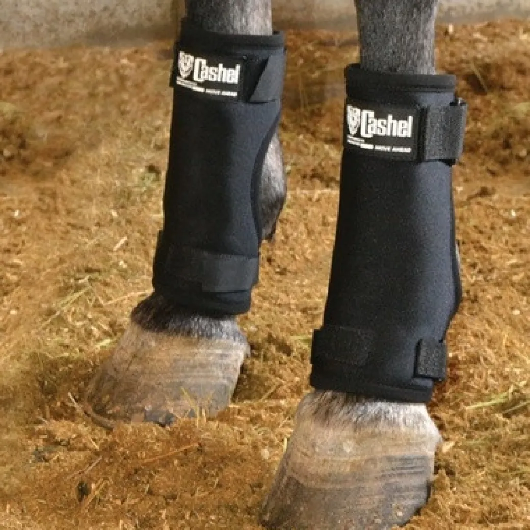 Cashel Stall Sore Boot