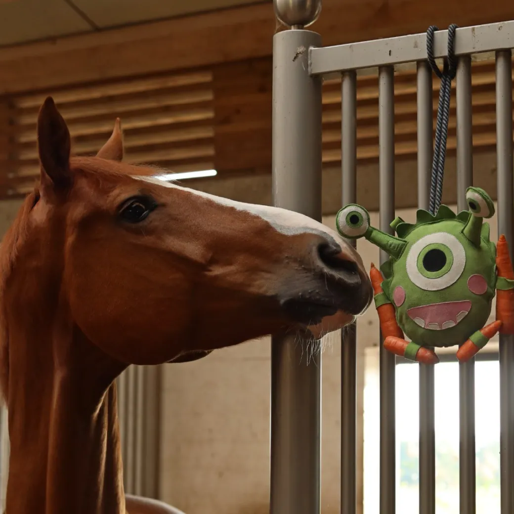 Cavallo Monsters Horse Toys