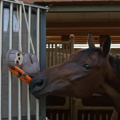 Cavallo Tru Sloth Horse Toy