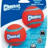 Chuck It Balls - Medium 2 Pack