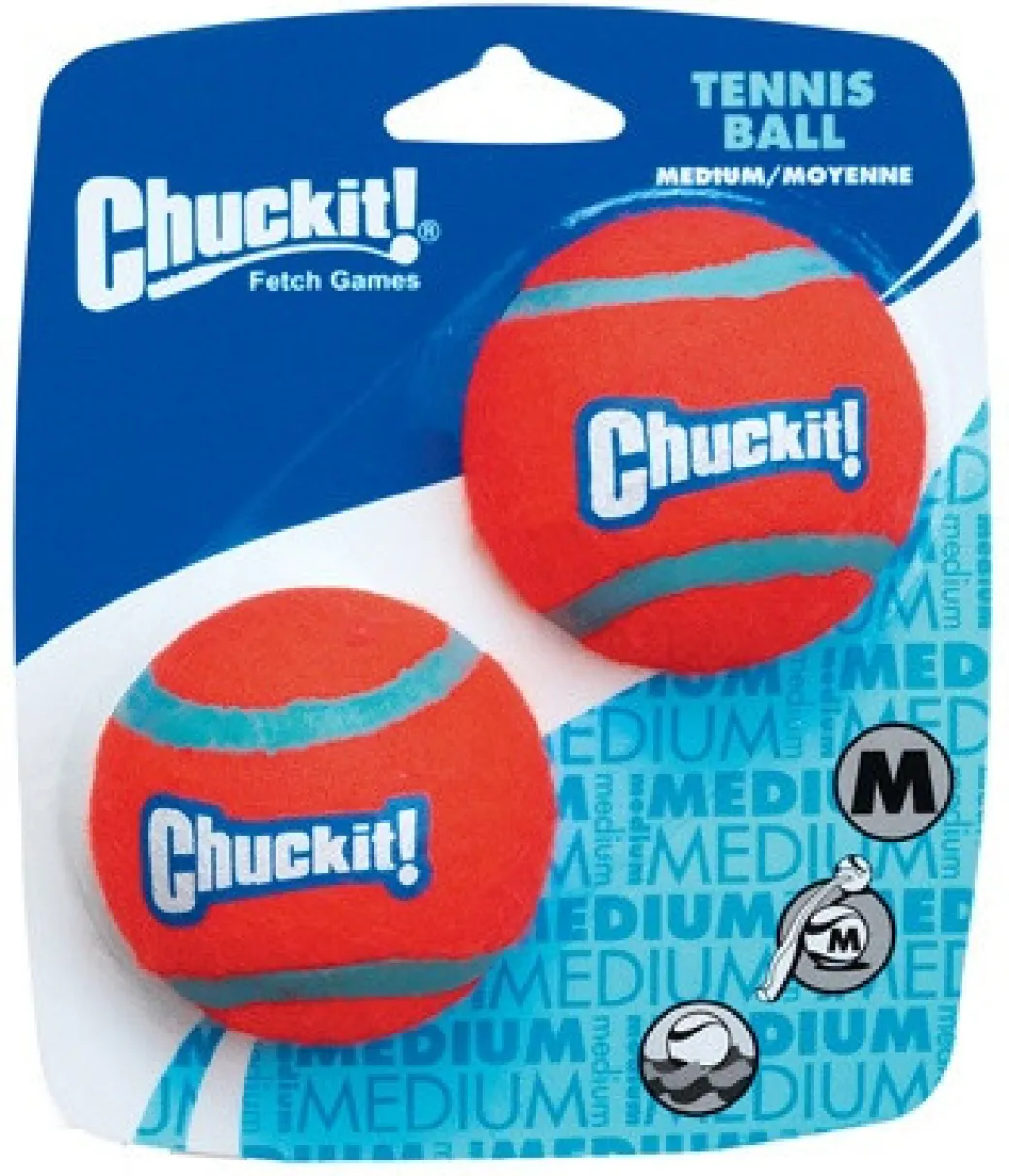 Chuck It Balls - Medium 2 Pack