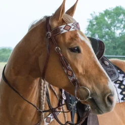 Circle Y Beaded Aztec Infinity Brow Headstall