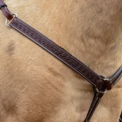 Circle Y Bluestem Breast Collar