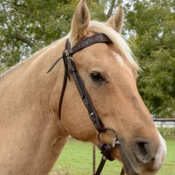 Circle Y Bluestem QC Brow Headstall