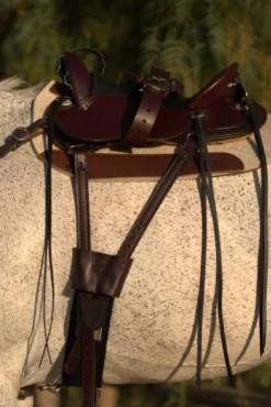 Circle Y Julie Goodnight Cascade Crossover Trail Saddle 1753