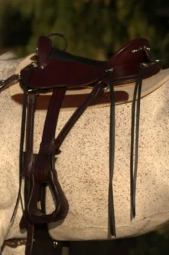 Circle Y Julie Goodnight Cascade Crossover Trail Saddle 1753