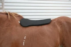 Circle Y Long Shoulder Bridge Pad 3/4" or 1"