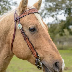 Circle Y Montana Brow Headstall