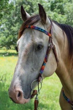 Circle Y Vibrant Infinity Beaded Brow Headstall