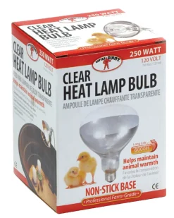 Clear Heat Lamp Bulb for Brooder Reflector