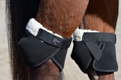 Click Hock Shield Ultra