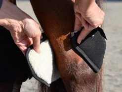 Click Hock Shield Ultra