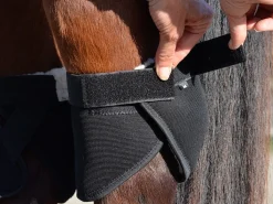 Click Hock Shield Ultra