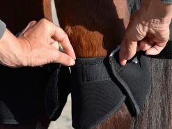 Click Hock Shield Ultra