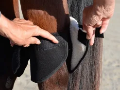Click Hock Shield Ultra