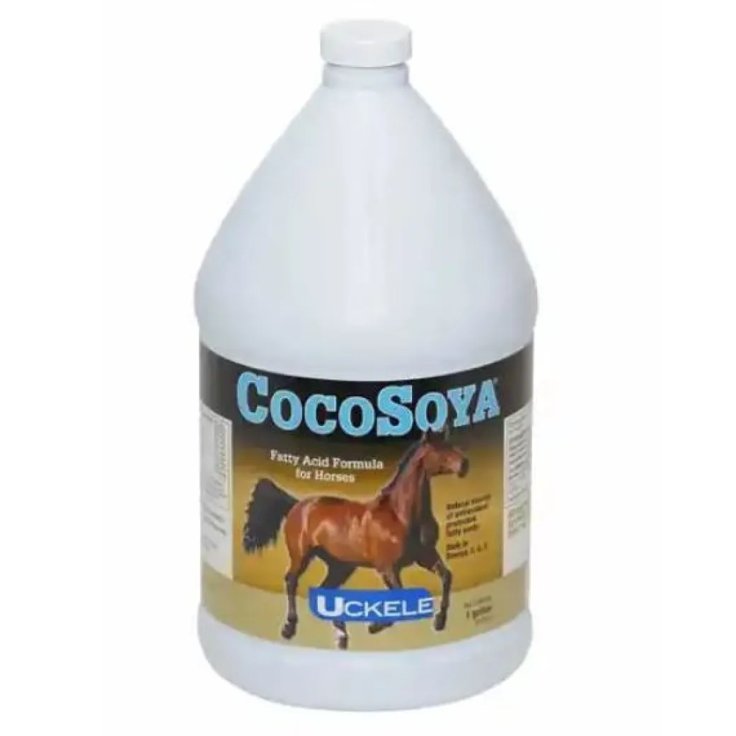 CocoSoya Oil