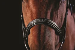 Collegiate Comfort Crown Fancy Stitch Bridle