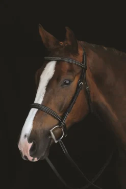 Collegiate Comfort Crown Fancy Stitch Bridle