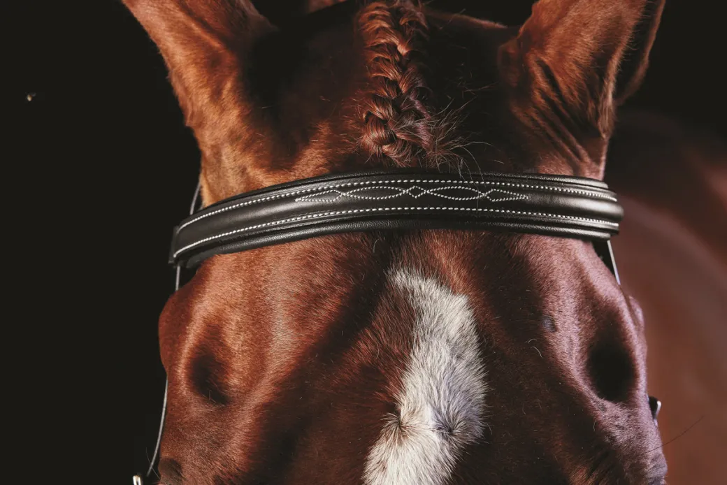 Collegiate Comfort Crown Fancy Stitch Bridle