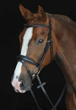 Collegiate Monocrown Wide Flash Bridle