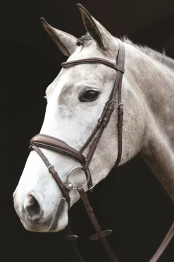 Collegiate Monocrown Wide Flash Bridle