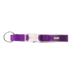 Comet LED Collar for Dogs