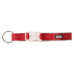 Comet LED Collar for Dogs