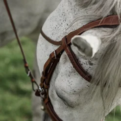 CommonWealth Braided Training Bridle
