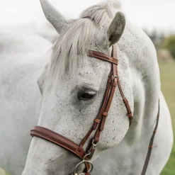 CommonWealth Braided Training Bridle