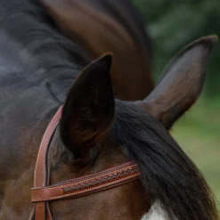 CommonWealth Braided Training Bridle