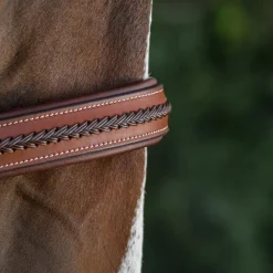 CommonWealth Braided Training Bridle
