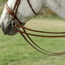 CommonWealth Curb Reins